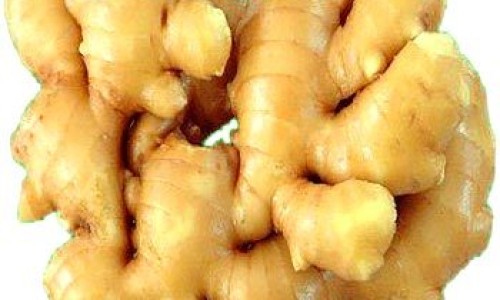 电磁波治疗仪的正确使用方法-【电磁波治疗仪禁忌】电磁波治疗仪的工作原理 - 电磁波治仪的禁忌症网